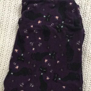 LULAROE LEGGINGS OS BLACK CATS NEW